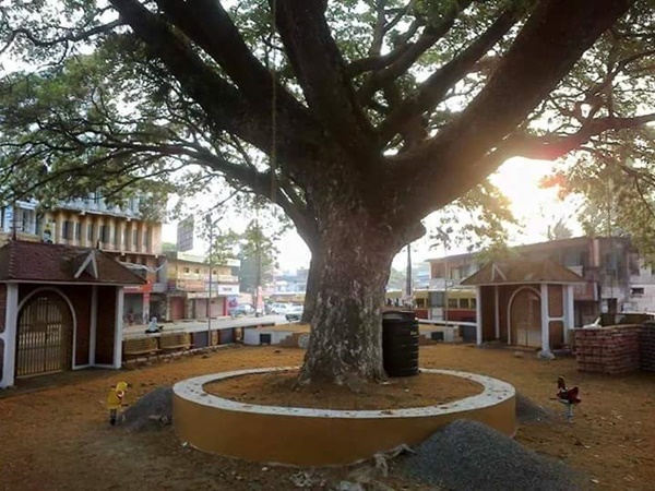 ക്ഷേത്രങ്ങളുടെയും പള്ളികളുടെയും നാട്
