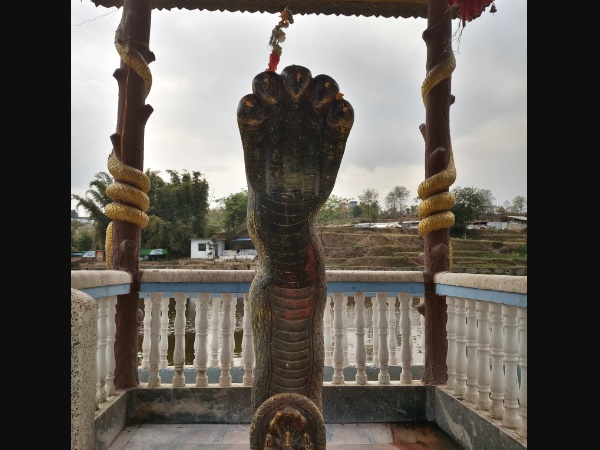 കാർതോടക നാഗ ക്ഷേത്രം
