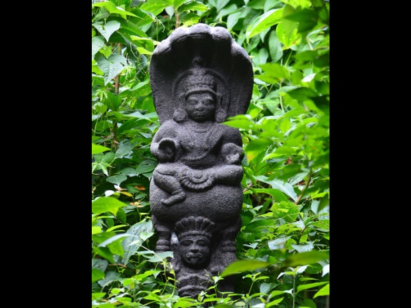 സർപ്പക്കാവ്