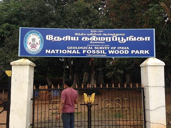 എവിടെയാണിത്