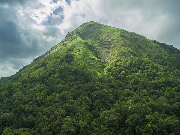 ചാലക്കുടിയിൽ തുടങ്ങി