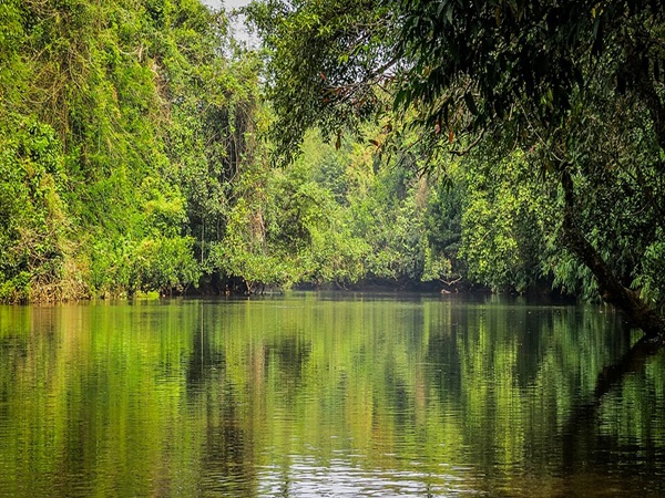 കോന്നി