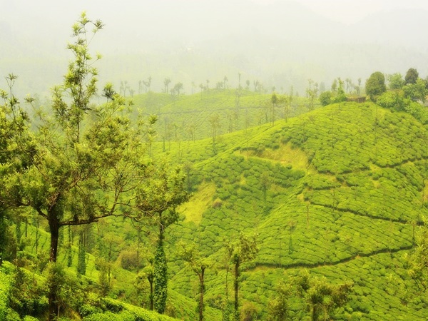ഇനി യാത്ര മലക്കപ്പാറ വഴി വാൽപ്പാറയ്ക്ക്