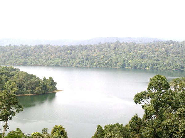 ഷോളയാർ വൈൽഡ് ലൈഫ് സഫാരി