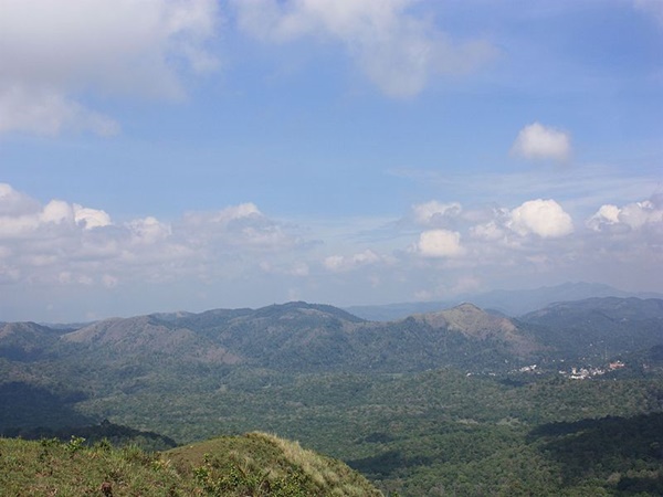 പാണ്ടിക്കുഴി