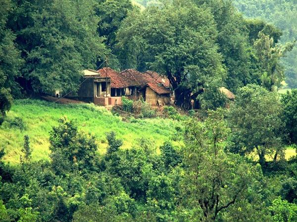 അരാക്കു വാലി