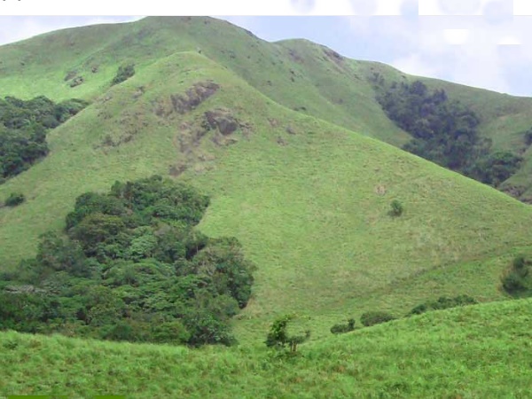 വാഗമൺ യാത്രയില് മറക്കുന്നിടം