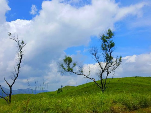 മൊട്ടക്കുന്നിലും കിടുവാണ് ഈ പുൽമേട്