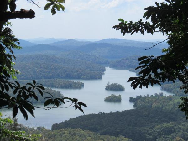 ബോണക്കാട് ബംഗ്ലാവും ക്രിസ്മുസ് ട്രീയും
