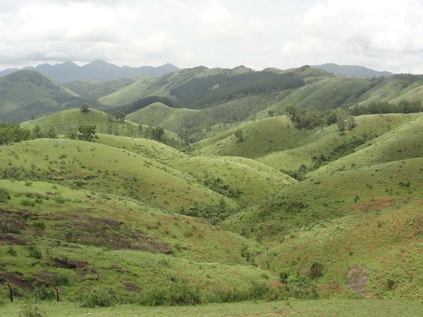 പുൽമേട് മാത്രമല്ല