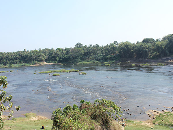 ഇല്ലിത്തോട്