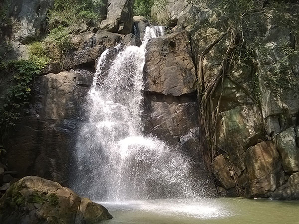 ദാരിംഗബാഡി, ഒഡീഷ