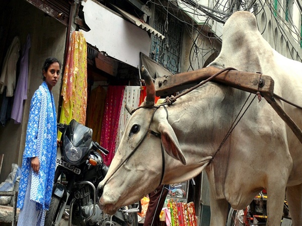 വസ്ത്രത്തിൽ ശ്രദ്ധിക്കാം