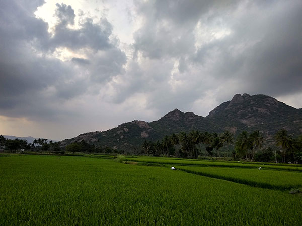 കൽരായൻ ഹിൽസ്