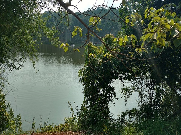 കർലാട്