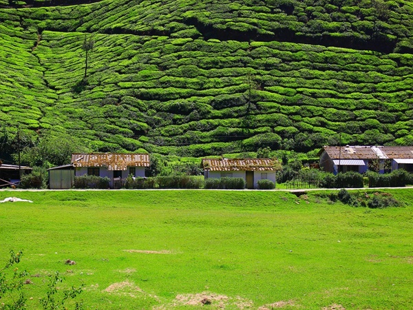 മൂന്നാർ