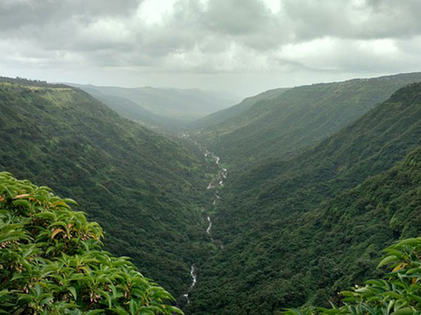 പച്ചമലൈ ഹിൽസ്, തമിഴ്നാട്