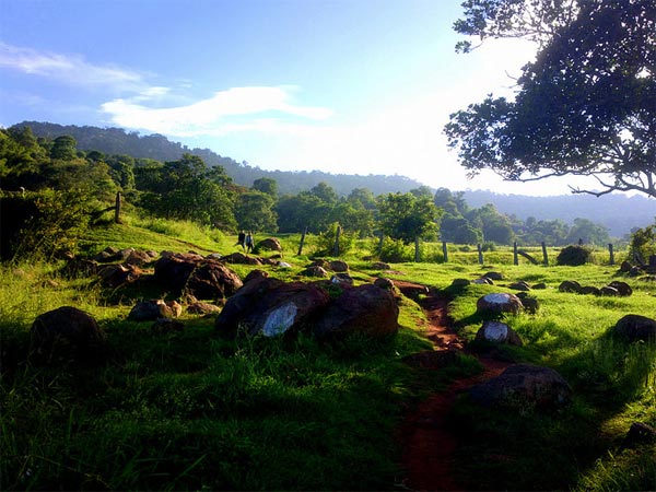 യേലാഗിരി