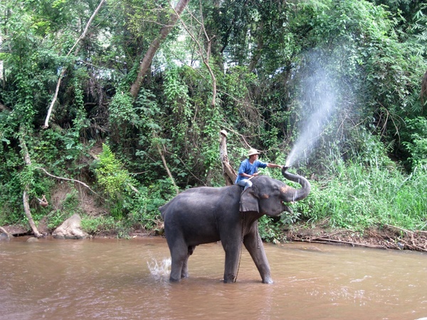 സക്രേബൈലു