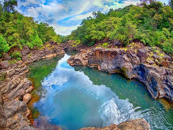 അപൂർവ്വ ജൈവവൈവിധ്യം