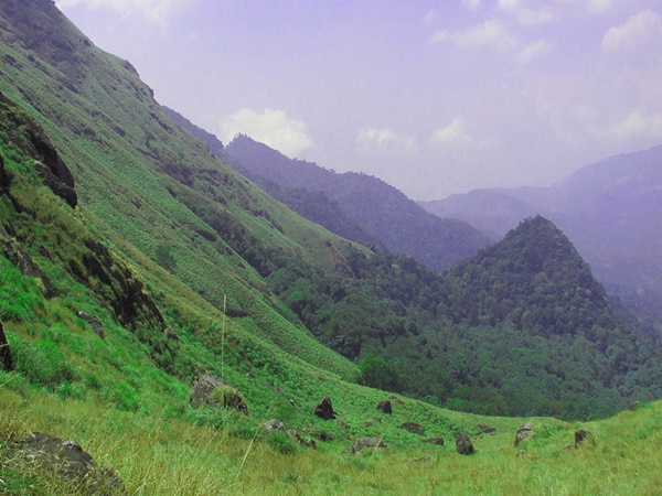 പേരുവന്ന കഥ
