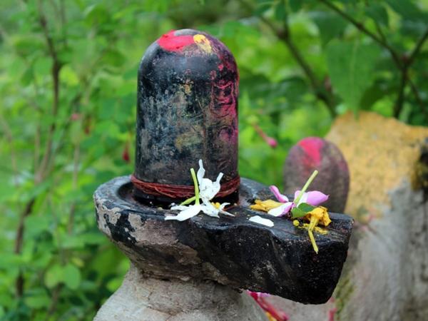 സ്വയംപ്രത്യക്ഷമായ ലിംഗം