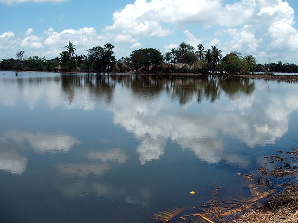 നീലഗിരി മലനിരകൾ, തമിഴ്നാട്