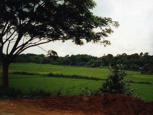 ജാംപൂയി ഹിൽസ്