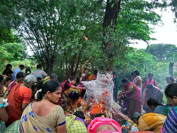നാഗങ്ങളെ ആരാധിക്കുന്ന നാഗ പഞ്ചമി
