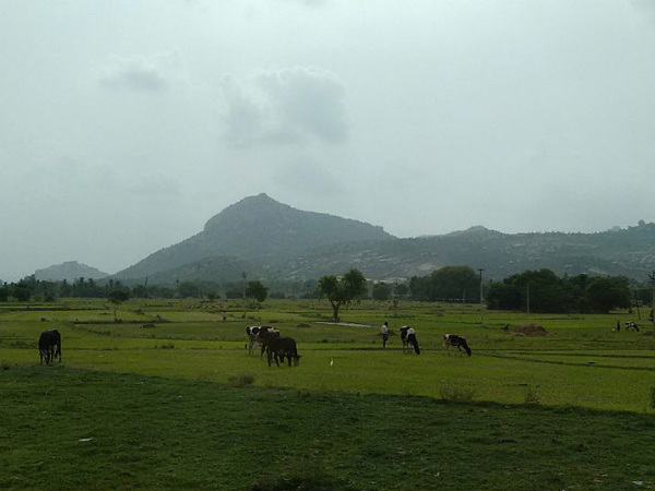 ജൈവവൈവിധ്യത്തിന്റെ കലവറ