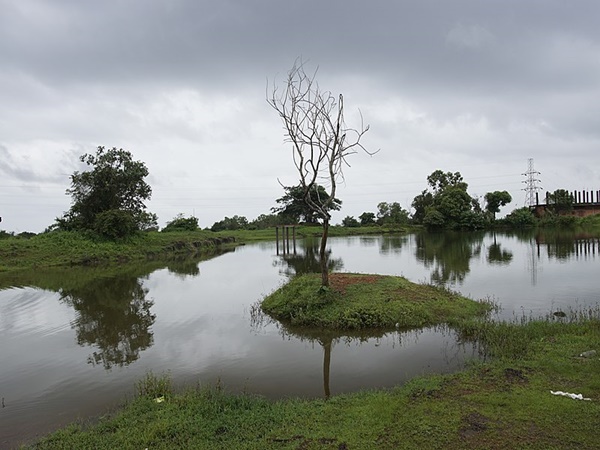 ദർശന സമയം