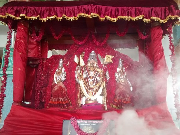 ആഘോഷങ്ങൾ