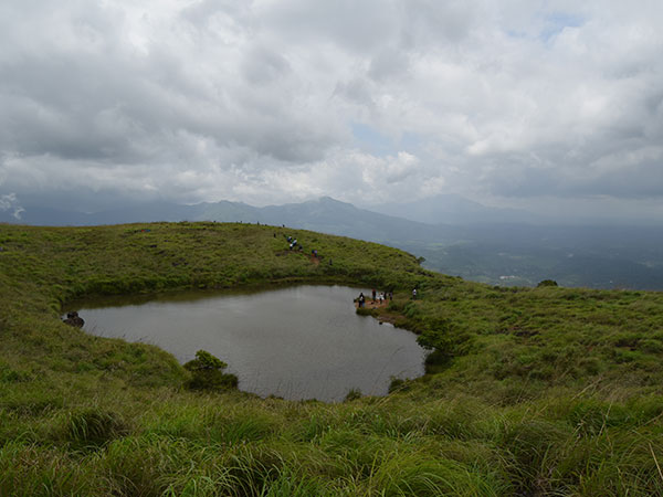 ചെമ്പ്ര പീക്ക്, വയനാട്