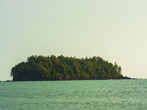 ധര്മടം ദ്വീപ്