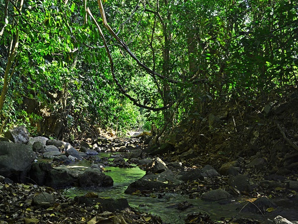 ധോണി