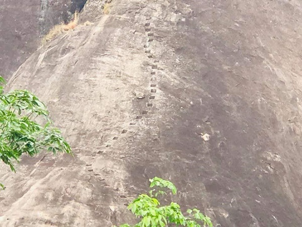 രാവിലെ നട്ടാൽ ഉച്ചയ്ക്ക് കൊയ്യാം