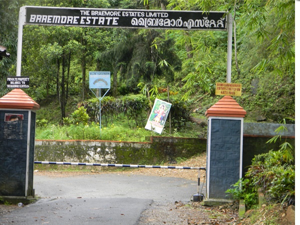 ബ്രെയ്മൂർ എസ്റ്റേറ്റ്