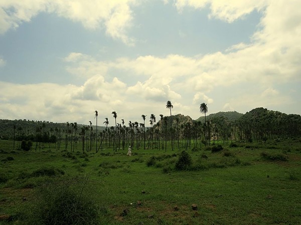 സന്ദർശിക്കുവാൻ പറ്റിയ സമയം