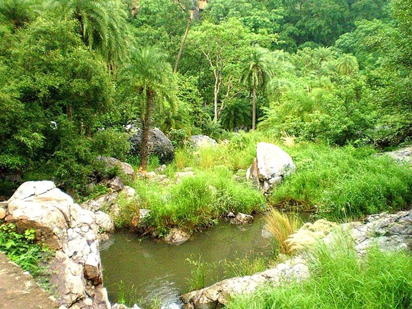ഇതിലൊതുങ്ങില്ല കാഴ്ചകൾ