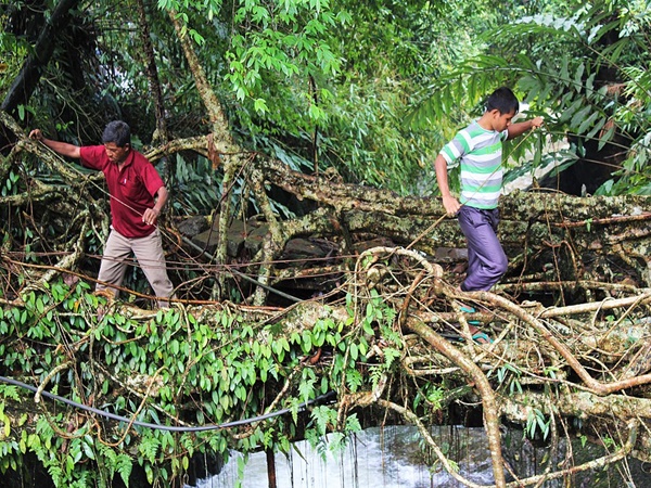 ഖാസി ഗ്രാമീണരുടെ വൈദഗ്ധ്യം