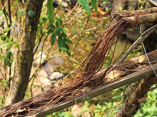 കുറഞ്ഞത് 15 വർഷം
