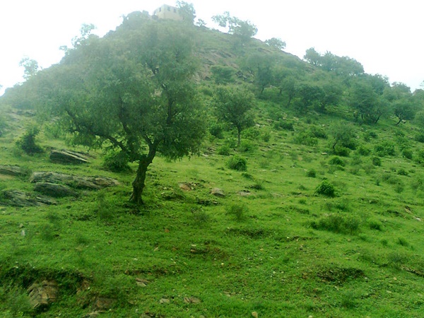 ഏഴു കവാടങ്ങൾ