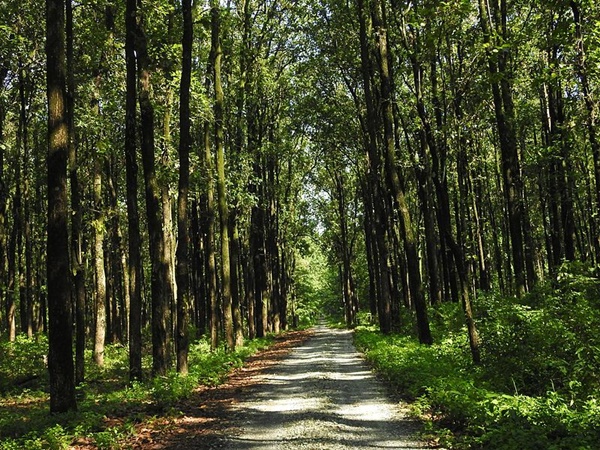 ദേശീയോദ്യാനത്തിനുള്ളിലെ ഗോത്രവര്ഗ്ഗക്കാർ