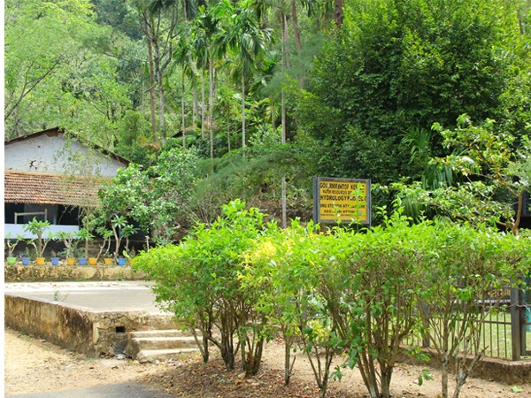 മാഞ്ചിയം ഗാർഡനും വെള്ളച്ചാട്ടവും