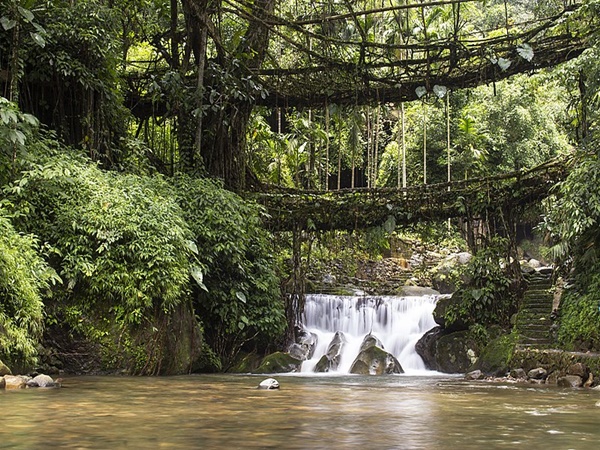 റിറ്റിമ്മെന് റൂട്ട് ബ്രിഡ്ജ്(Rtiymmen Root Bridge)