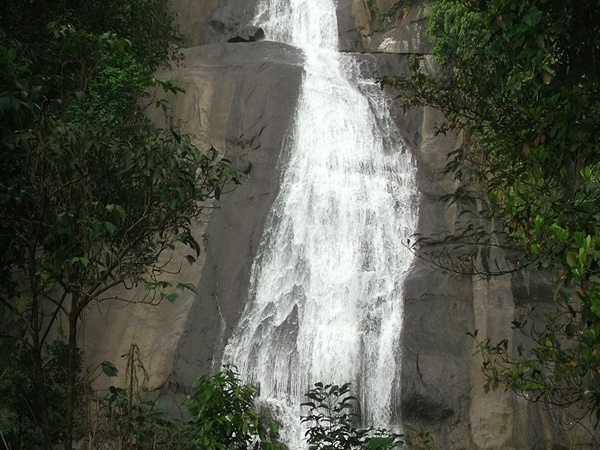 തുഷാരഗിരി വെള്ളച്ചാട്ടം