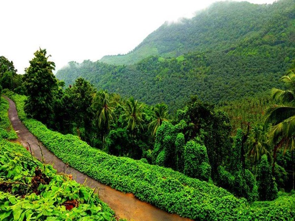 മഴക്കാലത്ത് മാത്രമല്ല...