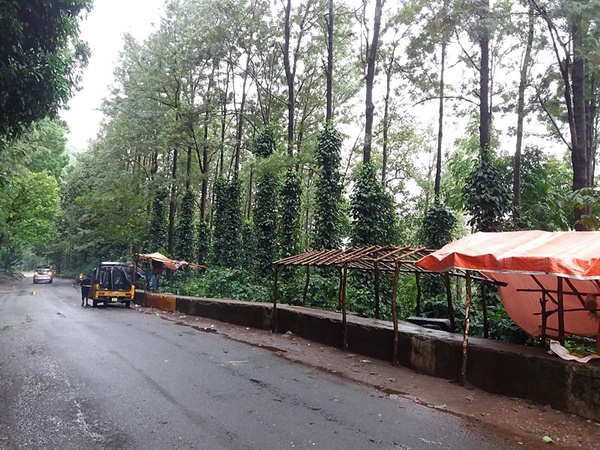 വിശാഖപട്ടണത്തു നിന്നും അരാകിലേക്ക്