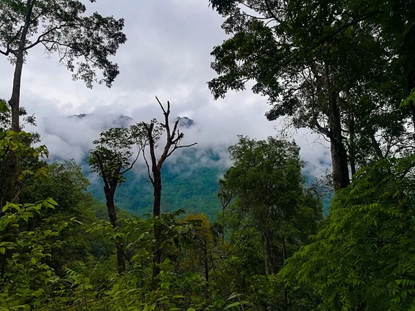 കൂർഗ്..മലയാളികളുടെ സ്വര്ഗ്ഗം