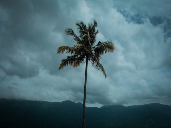 ഹൈറേഞ്ചിലേക്കുള്ള കവാടം